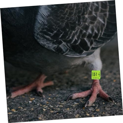 BESPORTBLE 100pcs Mixed Pigeon Leg Bands Foot Rings for Poultry Birds and Chickens Easy Identification Supplies for Racing Pigeons Parakeets and Style