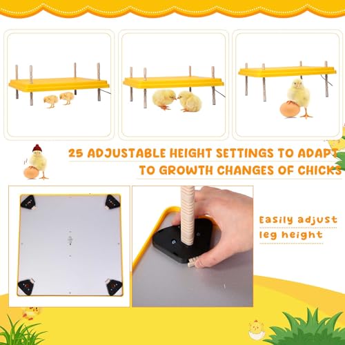 VIHOSE 20 x 20 Extra Large Brooder Heater for Chicks Brooder Heating Plate Pet and Poultry Warmer Warms up to 55 Chicks Adjustable Height and Livable Temperature 140 Fahrenheit