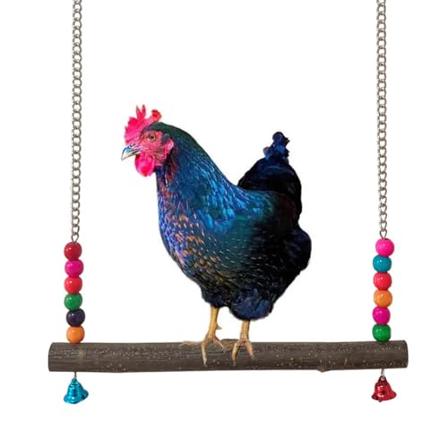 Chicken Swing, Bird Hanging Swings Toys, Wooden Biting Toys Chicken Swing with Bell for Medium and Large Parrots, Cockatoo, African Grey, Macaws, Random Color (L) - size: L
