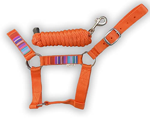 HalterUp Cute and Stylish Miniature Donkey Halters and Lead Ropes (2 Item Bundle) Available in 10 Colors - color: Orange, size: Large