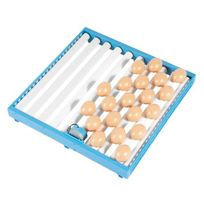 Incubator with digital display screen,Fully Automatic 48 Egg Incubator 360° Automatic Egg Turning FullyTemperature Control 360° View for Chicken, Duck, and Quail Turkey Hatching