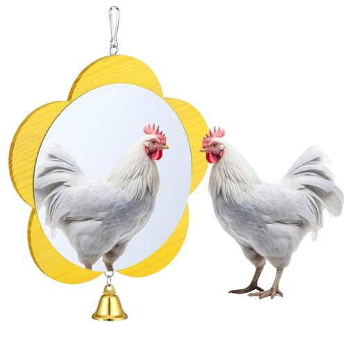 Sadnyy Flower Chicken Mirror Toys Extra Large 10.2 Inch Big Hanging Swing Mirror with Bell Wooden Pecking Toy for Hens Birds Parrots Coop Roosters (Yellow, 1pcs) - color: Yellow, size: Flower