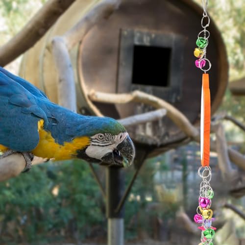 ERINGOGO 1pc Chicken Mirror Toy with Bells Sturdy Hanging Mirror for Hens Parrots Birds Pet Supplies for Gardens Cages