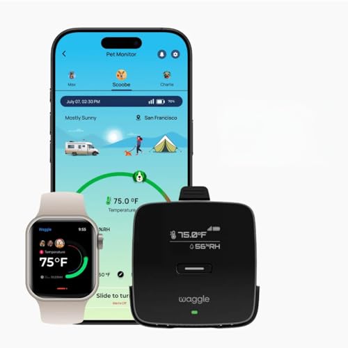 Waggle 4G Cellular Temperature & Humidity Monitor – Real-Time App, Email & SMS Alerts, LCD Display, Rechargeable Battery, RV/Camper/Van/Car Monitoring – Subscription Required