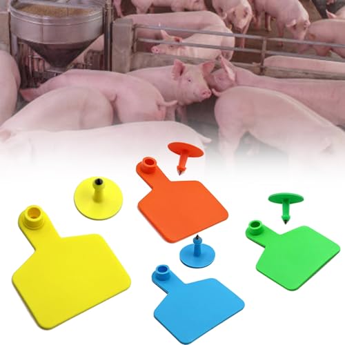 Round Identification Ear Tags, Sturdy Distinguish Ear Label with Applicator Livestock, Round Farm Animal Differentiate Lug Tag for Sheep/Cattle/Hog Goats(Blue,Pig) - color: Blue, size: Pig