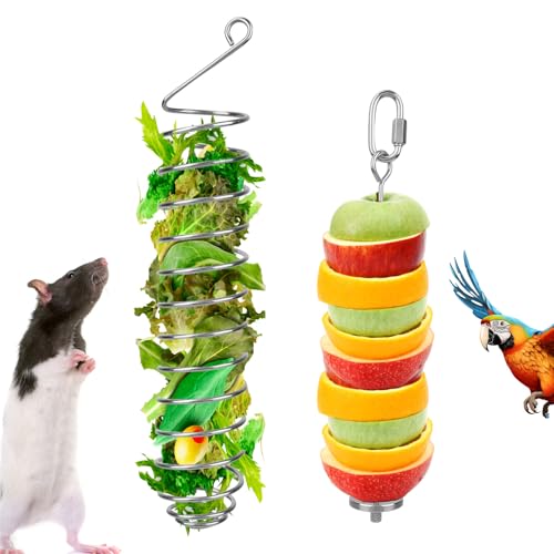 2pcs Rat Enrichment Toys, Premium Stainless Steel Bird Treat Skewer Food Holder Hanging Slow Feeder for Fruits Vegetables Ideal Cage Accessories Mouse & Bird Rodent Foraging Puzzle Toy(Silver)