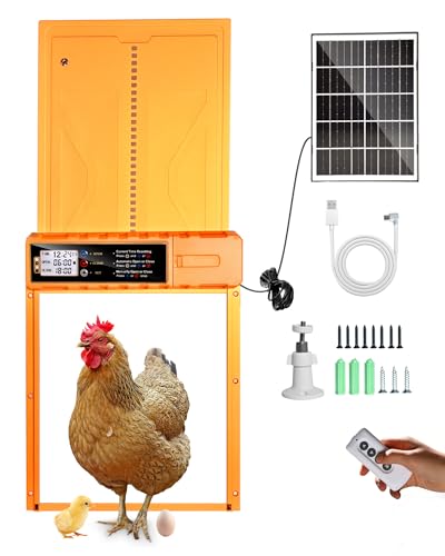 Automatic Chicken Coop Door Solar Powered - Auto Chicken Door 14.3″ x 10.9″ for Large Coop & Run, Anti-Pinch, Orange Aluminum Alloy with Secure Hidden Cable Slot, LCD Timer & Remote Control
