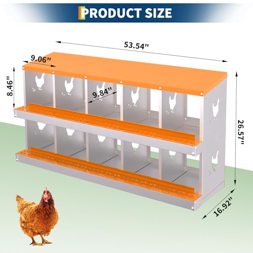 Chicken Nesting Box,10 Holes Galvanized Steel Metal Chicken Laying Box with Automatic Roll-Away Egg Collection System & Removable Tray,Wall Mount Nesting Boxes - color: Orange, size: 10 Holes