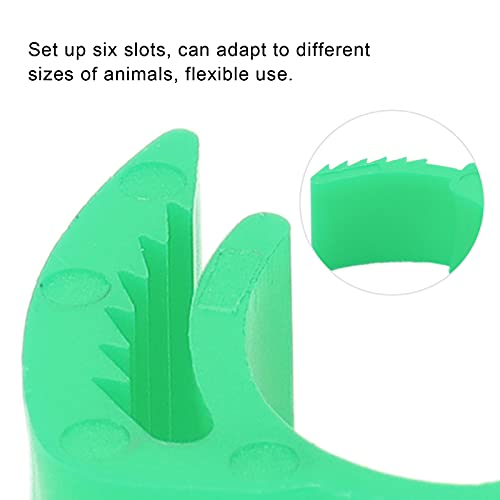 100Pcs Colorful Plastic Chicken Leg Buckle Rings, Retractable Poultry Identification Bands for Chicken Duck Bird, Safe and Material for Poultry Feeding Supplies (Green (100 Pieces per Pack)) - color: Green (100 pieces per pack)