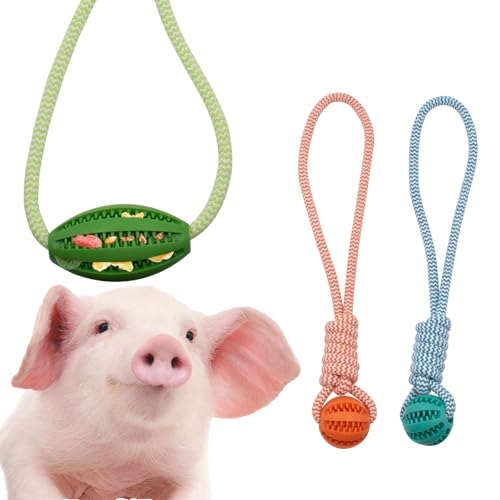 3 PCS Mini Pig Supplies Enrichment Toys, Hanging Treat Ball with Rope, Interactive Plastic Food Chew Ball for Pellets & Grains for Pet Pig