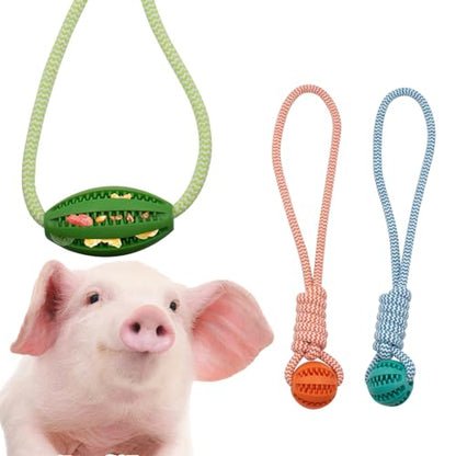 3 PCS Mini Pig Supplies Enrichment Toys, Hanging Treat Ball with Rope, Interactive Plastic Food Chew Ball for Pellets & Grains for Pet Pig