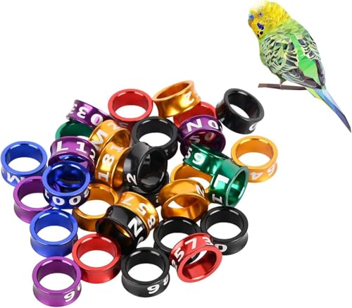 Bird Foot Rings, Bird Bands,Multicolor Aluminum Closed Mouth Bird Identification Leg Rings for Golden Sun, Monk, Keck, Moon Wheel, Miniature Vajra (8.0mm,50pcs) - color: ID8.0, size: Closed