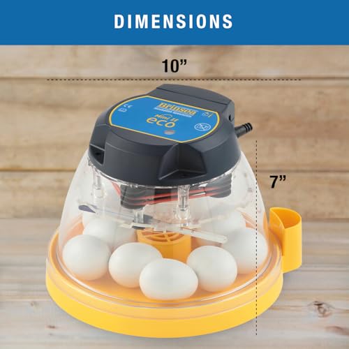 Brinsea Mini II Eco Manual Egg Incubator with External Water Top-Up, Fan Assisted Air Circulation for Hatching 10 Chicken, Duck, or Other Eggs, Ideal for Beginners - style: 10 Eggs