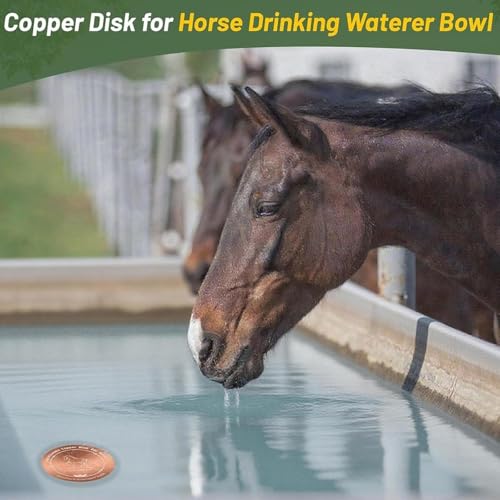 Copper Waterer Cleaning Disc, All Season Livestock Water Purifier Tray Keeps Water Clean for Poultry, Dogs & Cattle - size: horse
