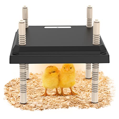Chick Brooder, Chick Brooder Heating Plate, Heating Lamp, Height Adjustable, Temperature Adjustable, Suitable for 15 Chicks