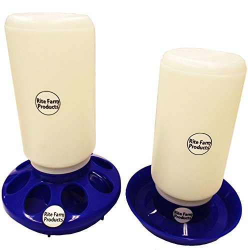 Blue Quart Feeder