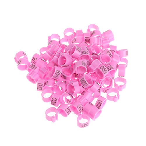 100pcs Chicken Bird Leg Rings Birds Identification Leg Bands Poultry Leg Rings 10mm for Pigeons Quail - size: A