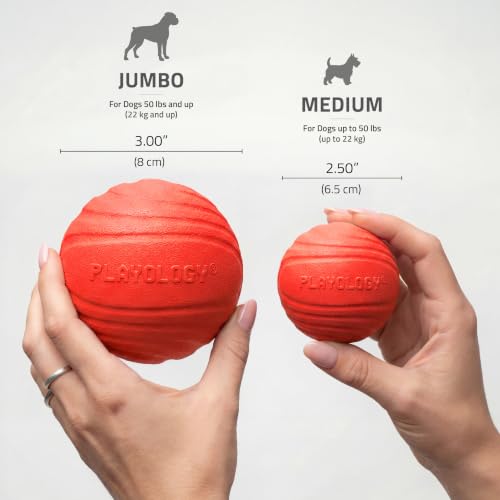 Playology Dog Toys | Dual Layer Ball Durable Chew Toy for Tough Chewers | Beef Scented Medium Dog Toy | Chew Toys for Dogs - size: Medium, style: Beef