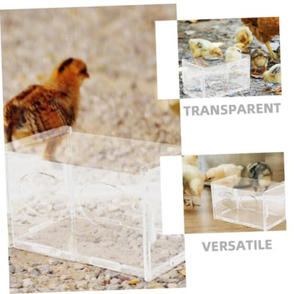 Toddmomy 3pcs Rutin Chicken Feeder and Water Bowl Automatic Poultry Dispenser for Healthy Feeding Design for Backyard Farmers and Hobbyists