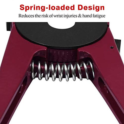 Ear Tag Applicator for Cows Cattle Goat Sheep Pig Animal Ear Tag Pliers Livestock Tool with 2 Replaceable Needle Pins