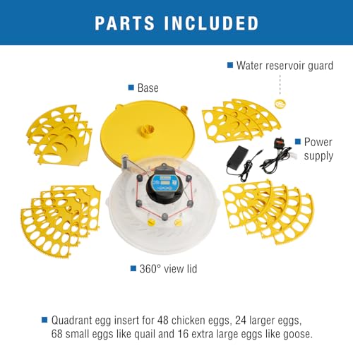 Brinsea Maxi 48 EX Egg Incubator with Automatic Humidity Control and Egg Turning for Hatching 48 Chicken, Duck, or Other Eggs, Optimal Flexibility with Mix & Match Sizes