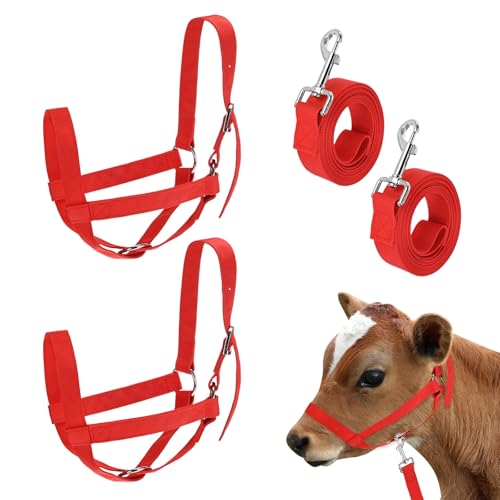 M METERXITY 2-Pack Adjustable Cattle Cow Calf Halter, 16.54"-20.47" Nylon Livestock Cow Halter with Leading Rope for Miniature Horse/Donkey/Goat/Cattle [Red] - color: Red, size: 16.54"-20.47"