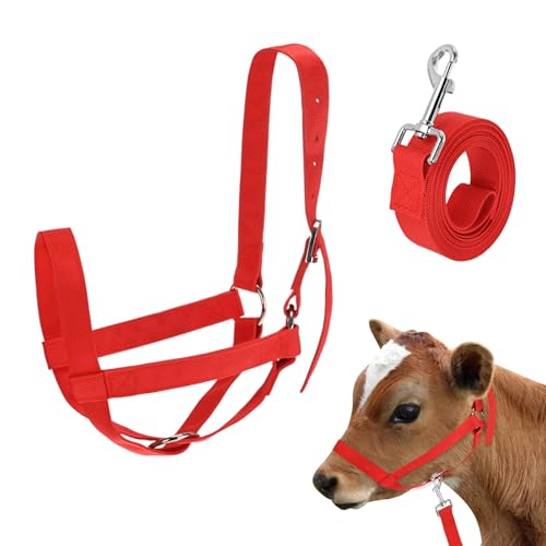 M METERXITY 1-Pack Adjustable Cattle Cow Calf Halter, 18.9"-23.23" Nylon Livestock Cow Halter with Leading Rope for Miniature Horse/Donkey/Goat/Cattle [Red] - color: Red, size: 18.9"-23.23"