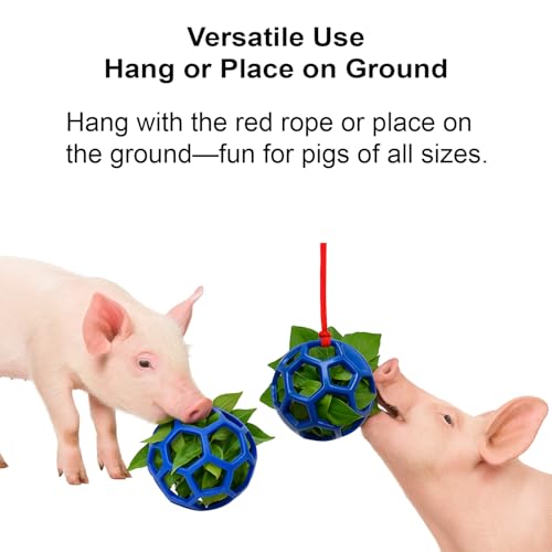 2Pcs Pig Enrichment Toys, Treat Ball Toy for Mini Pigs and Farm, Hanging Chew Ball Enrichment Toy with Rope for Pigs to Play with