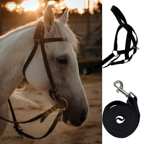 Cattle Cow Calf Halter, Calf Halter with Leading Rope, 18.9-23.23 Inch Adjustable Nylon Livestock Cattle Halter for Cattle, Miniature Horses, Foals, Donkeys, Goats (Black)
