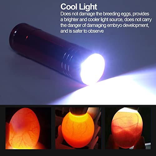 Egg Tester, LED Cool Light Candler Lamp, Metal and Plastic Material, Detachable Cone Spot Light, Suitable for Bird Duck Goose Quail Eggs, Delivered Without Battery (Black) - color: Black