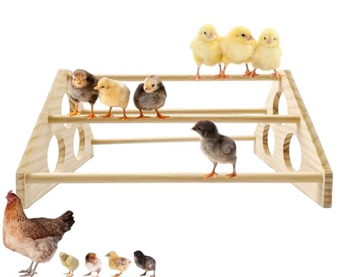 Large Wooden Pine Chick Perch Roosting Bar for Baby Chicks Brooder Coop, Chicken Training Toy Stand - color: Style 1