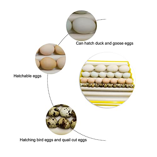 GLOGLOW Egg Turner Tray, 13 Rollers | Automatic Egg Incubation Tray with 13 Rollers, 16.9x16.7x2.1in, For Chicken Duck Quail Eggs, Hatcher Accessory - color: #3