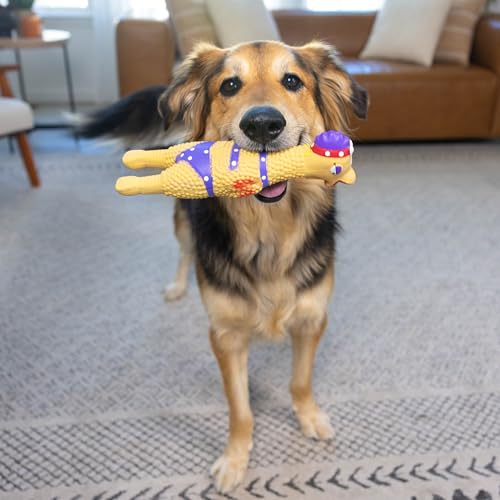 Outward Hound by Charming Pet Squawkers Henrietta Latex Squeaky Rubber Chicken Dog Toy, Funny Interactive Holiday Toy for Dogs, Large Size - color: Henrietta, size: Large