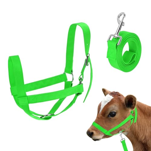 M METERXITY 1-Pack Adjustable Cattle Cow Calf Halter, 12.6"-18.9" Nylon Livestock Cow Halter with Leading Rope for Miniature Horse/Donkey/Goat/Cattle [Green] - color: Green, size: 12.6"-18.9"