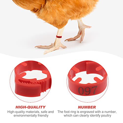 100 Pack Poultry Leg Bands - Durable Numbered Chicken and Duck Identification Rings for Easy Breed Management(Red,3 Packs) - color: Red, size: 3 packs