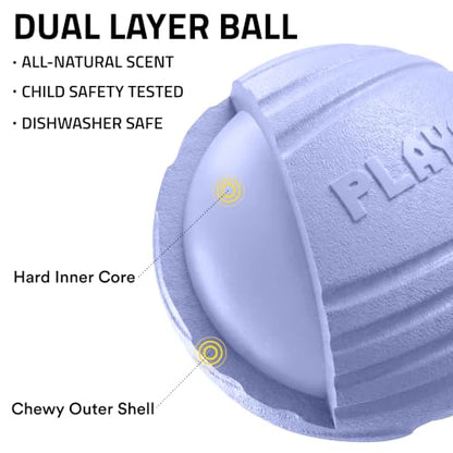 Playology Dog Toys | Dual Layer Ball Durable Chew Toy for Tough Chewers | Blueberry Scented Medium Dog Toy | Chew Toys for Dogs - size: Medium, style: Blueberry