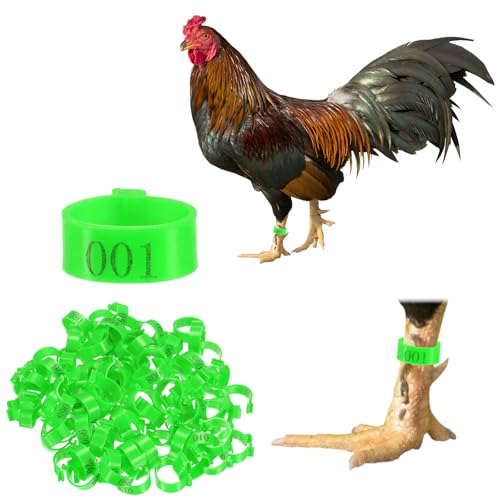 M METERXITY 100-Pack Chicken Leg Bands, 20 mm Plastic Poultry Identification Chicken Leg Rings for Turkey/Duck/Goose/Chicks, Colorful Numbered Foot Clip on Tags [Green] - color: Green, size: 2.7 x 2.7 x 1 cm / 1.06 x 1.06 x 0.4 in(L x W x H)