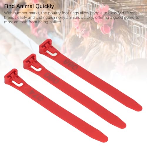 Semme Reusable Chicken Leg Bands Numbered 100 for Easy Poultry Identification Ideal for Ducks Chicks Pigeons Geese (Green) (Red) - color: Red