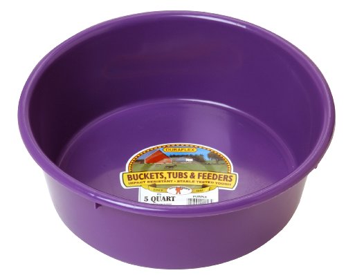 Little Giant® Plastic Utility Pan | Feed Pan | Durable & Versatile Livestock Feeding Bucket | Made in USA | 5 Quart | Purple - color: Purple, size: 5 Quarts