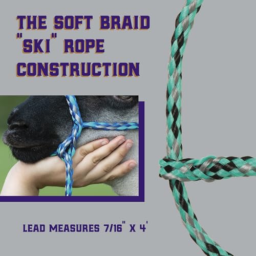 Weaver Livestock Braided Poly Rope Halter, 4 ft Modern, Adjustable, Soft Braid Sheep Halter, Livestock Equipment for Sheep, Goats - color: Mint/Black/Gray