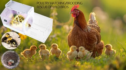 Iarge-Scale Chick brooder Box Quail Cage Egg Incubator Chick Starter Kit Chicken Brooder 20-35