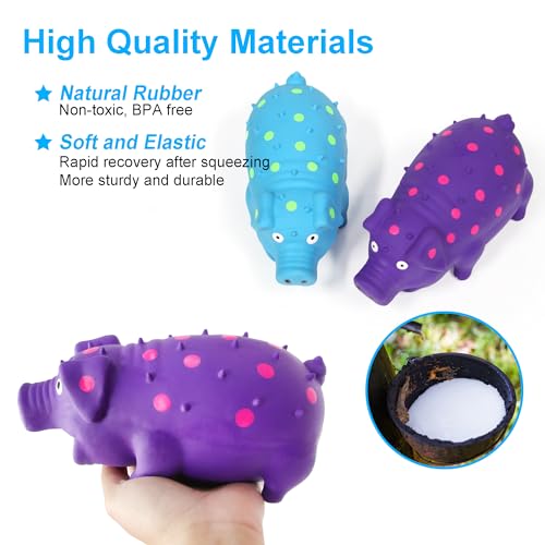 Squeaky Pig Dog Toys, Interactive Durable Latex Rubber that Oink Pig Chew Toy for Medium Large Dogs 2 Pack (Blue+ Purple)