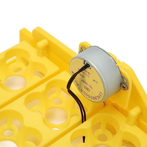 Egg Incubator Tray, Multifunction Automatic Egg Turner Incubator Tray Eggs Automatic Egg Turner Turning Tray for 16 Duck Eggs 16 Eggs 72 Quail Eggs Incubation (DC12V) - size: DC12V