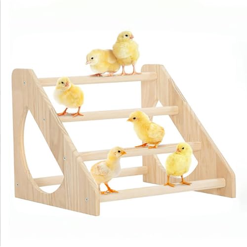 Anti-Rotation Chick Perch, Fir Wood Chicken Roosting Bar for Brooder, Heavy Duty Training Stand for Baby Chicks & Poultry, Easy to Assemble Coop Accessories