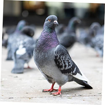 Homoyoyo 100pcs Identification for Pigeons Poultry Plastic Leg Bands for Birds Easy to Use Foot Clips for Marking Differentiating Breeds Mixed Colors