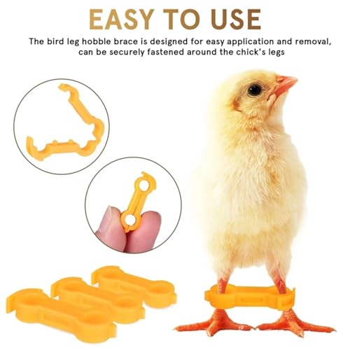 Chicken Leg Bands 60 Pcs Baby Chick Splay Leg Hobbles Poultry Bands- Chicken Hobble Braces for Chicks