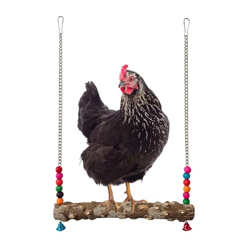 Chicken Swing Toy – Wooden Claw Perch Bridge, Hanging Exercise Ladder, Bell Accessory | Interactive Poultry Play Set, Enrichment Activity Equipment for Coop Cage Use - size: B