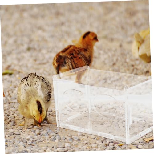 3pcs Chicken Feeder Automatic Poultry Feeding Container for Chickens and Quails Easy to Clean Promotes Feeding Schedule for Backyard Farmers