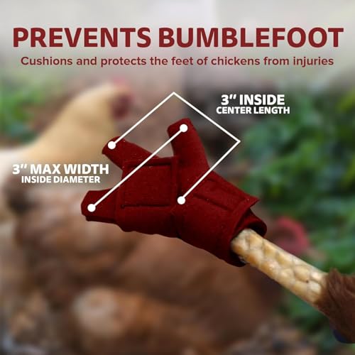 Chicken Shoes for Injured Feet – Protective Neoprene Footwear for Chicken, Open-Toe Design for Bumblefoot Relief, Made in USA (Chicken Shoes, Red, Medium Chickens) - color: Red