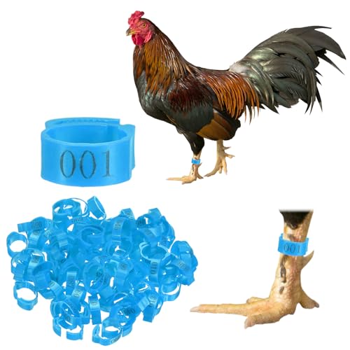 M METERXITY 100-Pack Adjustable Chickens Leg Bands, 17-22 mm Plastic Poultry Identification Chicken Leg Rings for Turkey/Duck/Goose/Chicks, Colorful Numbered Foot Clip on Tags [Blue] - color: Blue